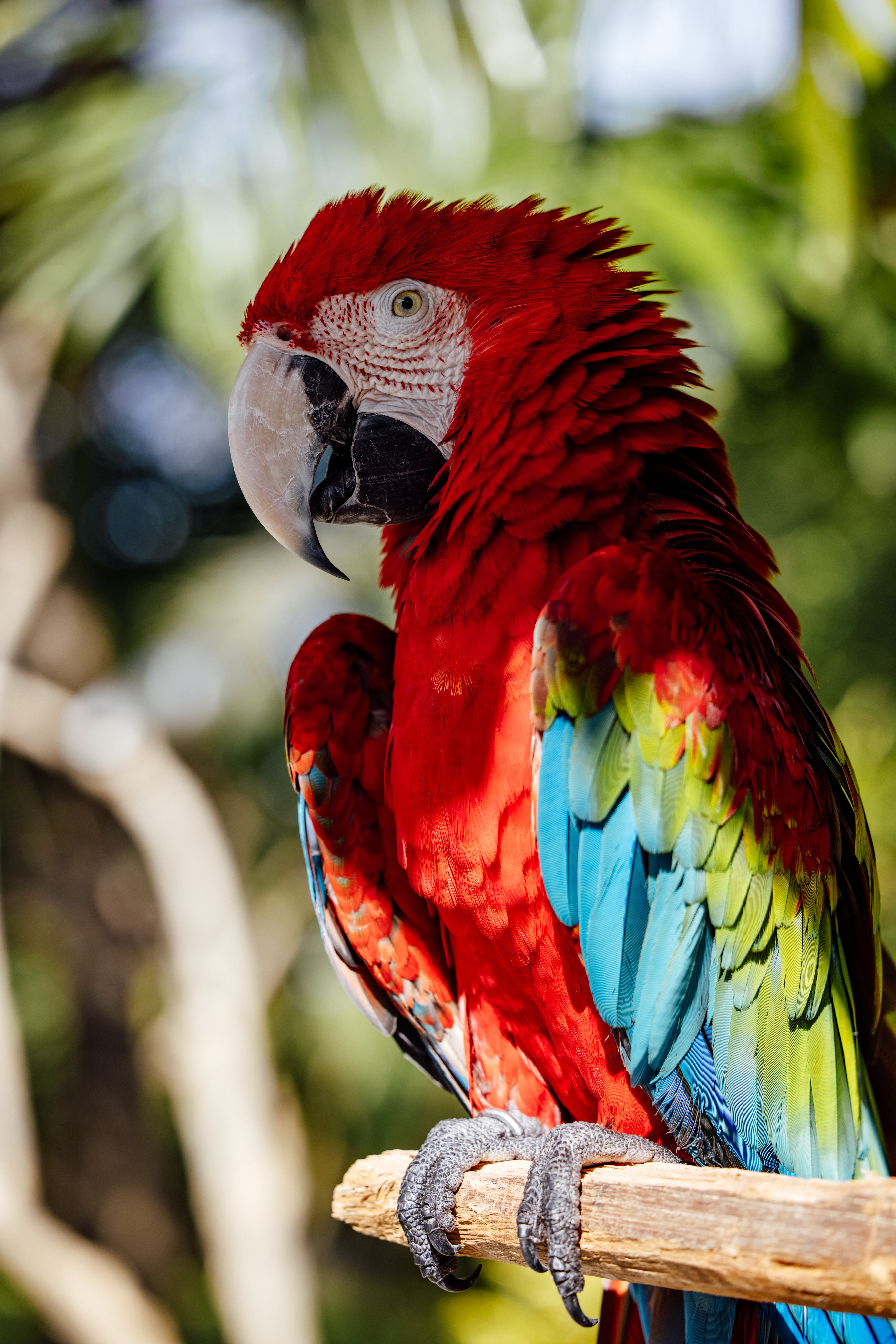 Cultura: el retrato digital ya no intenta fingir naturalidad
